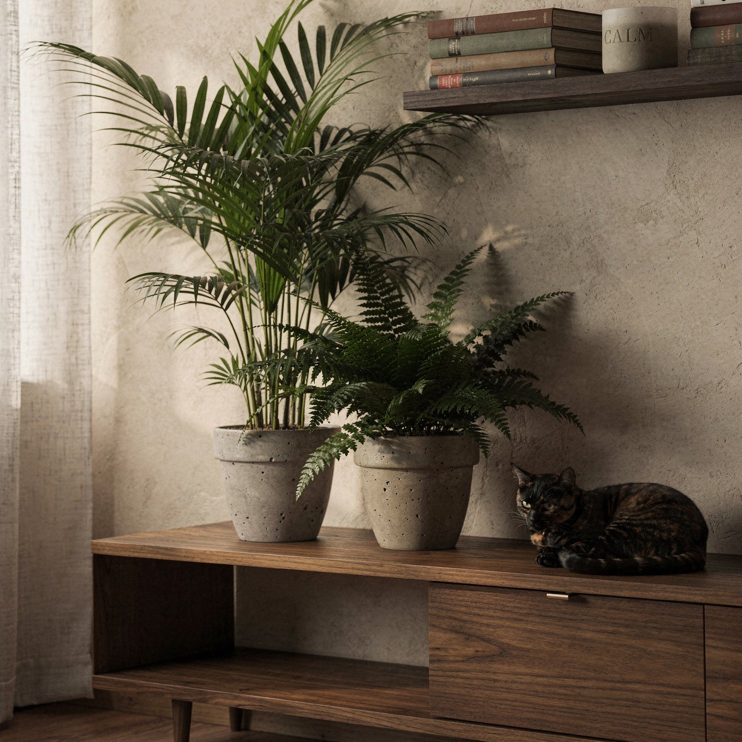 Pet-Safe Low Light Plants